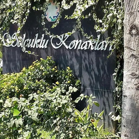 Flat